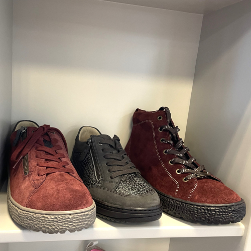 Daelenbroeck Schoenen